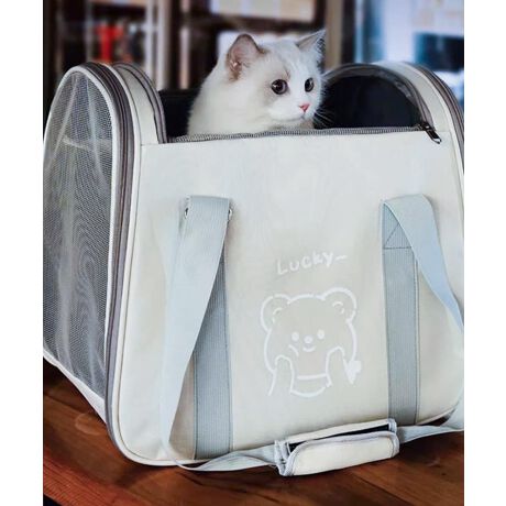 [^:moxpg9594a]ŎpI yʃybgpL[P[XBRpNgȂLXƂ݌vŁAybgKɉ߂ԂmہBbVdl̒ʋCQ̃fUCŁAړybgbNXłɂȂĂ܂Byʑfނ̗pA|E莝2WAYdlŎ^тNNBVvŏiȃJ[WJŁAǂȃV[ɂ݂₷Asʉ@AoɍœKȃACeB