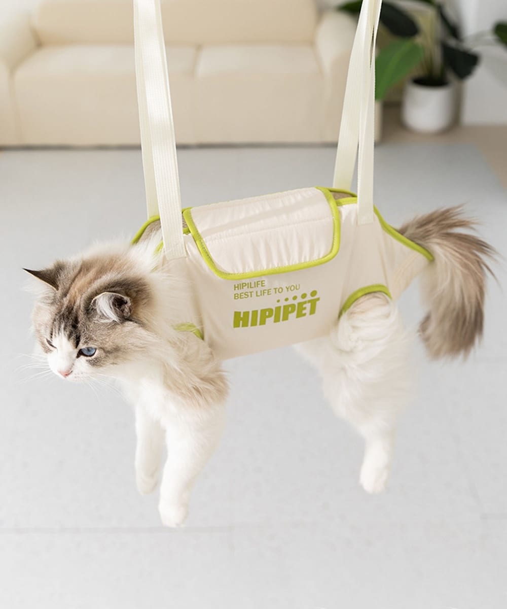 [}C]ybgp݂艺nbNz_[/ACniaimohaj zCg