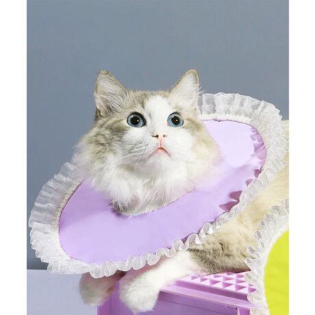 [^:mocdb8173a]Ƌ@\˔ ЂЂybgpGUxXJ[B_炩fނōAXgXyȂ珝r߂h~܂B͂̃tfUC炵A܂ŃhX̂悤ȉ؂₩Byʐ݌vŎ񌳂̕S炵A܂܂łKɉ߂܂BTCY\ȃXgbp[tŁAtBbgBpPA畆gũT|[gɂ҂łB