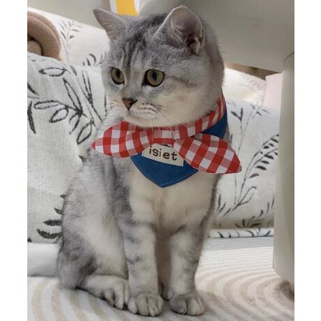 [^:morct9688a]fj̐nɐԂMK`FbÑ{ANZgɂȂAȃybgpXJ[tBXibv{^ŒEȒPA񌳂ɗDtBbgfUCłBڂłȂAyď_炩fނȂ̂ŁAlR炸ɂ܂BU₨oABep̃ANZT[ƂĂ҂ȃACełBYɂāATCYdlقȂꍇ܂B