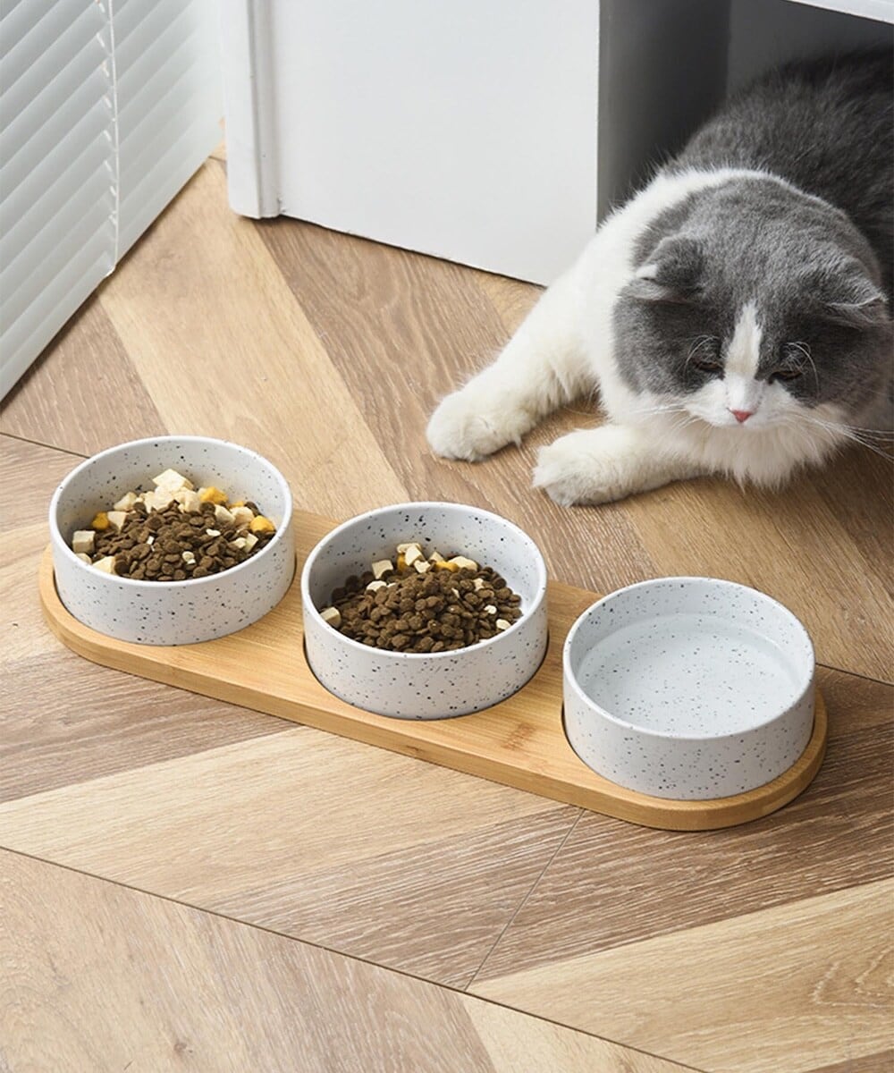 [}C]i`퐻ybg{E|X^hZbg/ACniaimohaj zCg