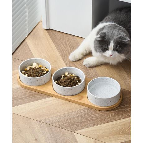 [^:moect155795a]VvŏiȃfUC̃ybgp{EZbgłB|̃x[XtĂAɂ芴܂BH͍iȃZ~bNŁAꂪtɂ􂢂₷dlBƃt[h𕪂Ďgpł2ZbgpӂĂ܂BTCYA^璆^AL܂ŕLΉ\B