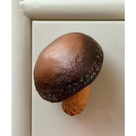 [^:molbi953416a]Lb`⌺ւقʂAAŉ̂^}OlbgłBՂƂtHƖ{Ȏ́A܂ŐXĂ悤Ȗ̑݊B①ɂ̒IȂǂɂ҂\tāA⃌VšŒɂ֗BYɂāATCYdlقȂꍇ܂B