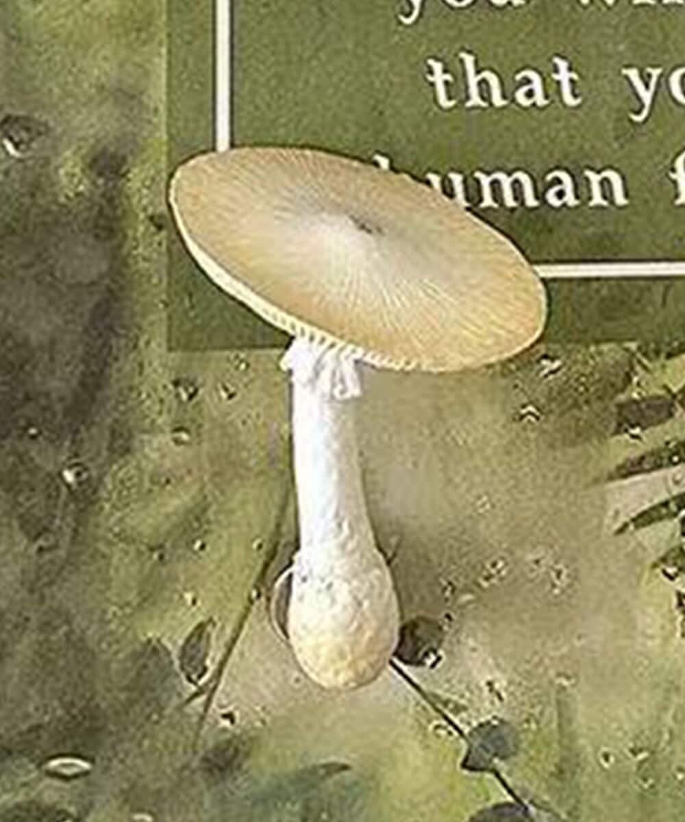 [}C]̂^}Olbg/ACniaimohaj zCg