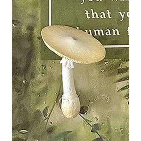 [^:molbi953416a]Lb`⌺ւقʂAAŉ̂^}OlbgłBՂƂtHƖ{Ȏ́A܂ŐXĂ悤Ȗ̑݊B①ɂ̒IȂǂɂ҂\tāA⃌VšŒɂ֗BYɂāATCYdlقȂꍇ܂B