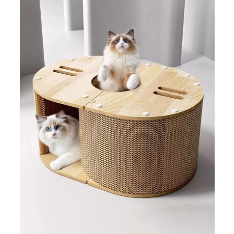 [^:molmc0143a]L̖{\A܂ƂEځE났Xy[X̂ƂȂ@\nEXB㉺ɔzuꂽ2̏oŎRɏoł\́ADSȔLɂ҂BVʂƑʂɂ͒܂Ƃfނ̗pA܂̂ɂB̃CeAɂ݂₷EbhfUCŁALɂɂACełBYɂāATCYdlقȂꍇ܂B