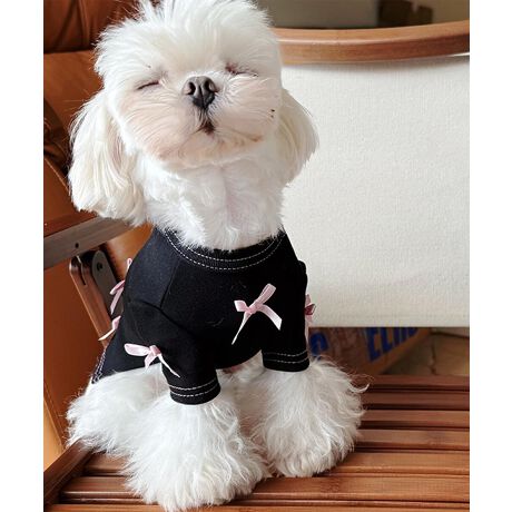 [^:mosyc982531a]sN̏ȃ{L[gȃANZgɂȂAiȍ̌ps[XłB_炩Lk̂鐶nŁASnQBoBeAʂȓ̃R[fBl[gɂ҂̈ꒅłB