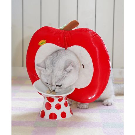 [^:mohmg0216a]ڂL[gŎv킸ΊɂȂ Abv^ybgpGUxXJ[BN₩ȃJ[ƃS̒fʂČj[NȃfUCŁApPA̎Ԃy߂܂Bӂӂ̃NbVfނōĂA񌳂ɗDtBbgByʎdlŒԂ̒płybg̃XgXy܂B^񒆂̌ɂ͒XgbvtŁAŒłS݌vBƋ@\𗼗GJłBS 22 21 5M 25 24 5L 30 29 5YɂāATCYdlقȂꍇ܂B