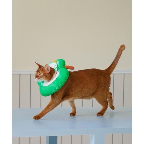 [^:mohmg0216a]ڂL[gŎv킸ΊɂȂ Abv^ybgpGUxXJ[BN₩ȃJ[ƃS̒fʂČj[NȃfUCŁApPA̎Ԃy߂܂Bӂӂ̃NbVfނōĂA񌳂ɗDtBbgByʎdlŒԂ̒płybg̃XgXy܂B^񒆂̌ɂ͒XgbvtŁAŒłS݌vBƋ@\𗼗GJłBS 22 21 5M 25 24 5L 30 29 5YɂāATCYdlقȂꍇ܂B