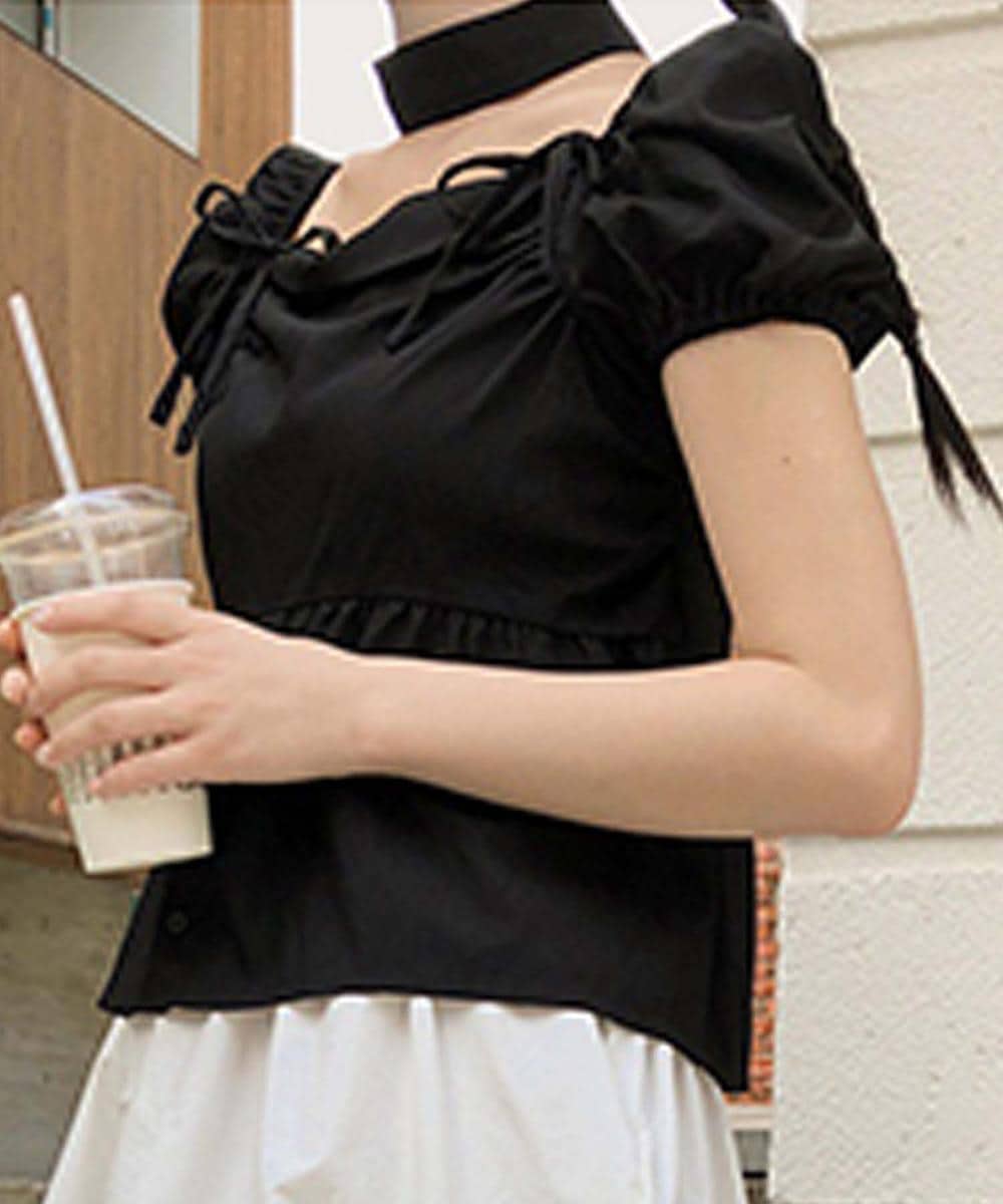 [}C]yJasminez`[J[{ptuEX/WX~OfBt[iJasmine Grandiflorumj ubN