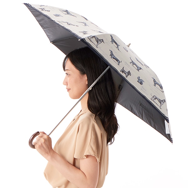 アクアスキュータム 晴雨兼用傘 日傘 /折りたたみ / サマーシールド No.3 楽天市場】Aquascutum （アクアスキュータム） サマーシールド