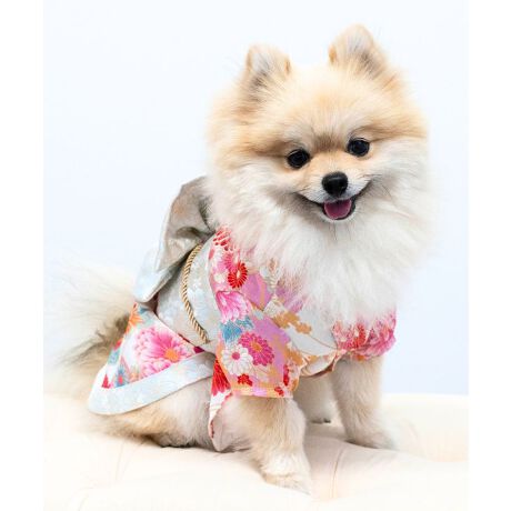 [^:ONS-0057]ʂ܁E˂܂̖{iaȘâ߂񕗑fނƐwD̂悤ȑяו܂łiŒڂ̓IɁI⏉wANBeALÔjɂ҂łBPOINTIEfUCE߂fށEOJŒւ炭炭E܂ݍ׍H̃RT[WtELxȃTCYWJfUCĂ{ihBpbƖڂ₩ȒEFAłBdˋ݂яȂǍו܂ł@ׂȎdオB݂Ɛɂ̓oCJ[̃pCsOāAĂ݊QłBwANbvɂȂя|CgIfޑ@ׂȌÓTN₩ȁA㎿߂񕗑fނgpB򊴂̂鐼wD蕗̑тn荂ՂBZ₷OJI傫JđOʂƂ̓}WbNe[vŋ݂Ƒт𗯂߂邾Ȃ̂ŁA₷₷Q-}WbNe[vFт݂ɂ_炩fށAy炭IƑŃNR[fIxr[Ƃ낢ɂ3L-6LTCYFONS-0057-BIG7L-9LTCYFONS-0057-MBIG***********************************ONEKOSAMAi˂܁ju˂܁vuʂ܁v؂ȉƑ̈Bꏏɕ点閈厖Ɉꏏɕ点KɊӁB̎vɁAԂp̂iƕς炸JŗD̂Â˂܁Aʂ܂Ƃl܂̂߂ɁBuONEKOSAMAv̕Sweet Mommy(ЃXEB[g}~[)͒N}^jeBAxr[ACe𒆐Sɓ{ƑɊYuhɂȂ邱ƂڎwĂ܂B悩琻A̔܂łs[J[ƂĂ̂ql̒aɊւ邱ƂłAK̂𒸂܂B܂ł̉ƑƕςȂvň䂪qu˂܁vuʂ܁v̂߂̂̂ÂX^[g܂B