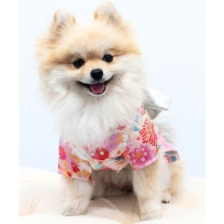 ʂ܁E˂܂̖{iaȘâ߂񕗑fނƐwD̂悤ȑяו܂łiŒڂ̓IɁI⏉wANBeALÔjɂ҂łBPOINTIEfUCE߂fށEOJŒւ炭炭E܂ݍ׍H̃RT[WtELx10TCYWJfUCĂ{ihBpbƖڂ₩ȒEFAłBdˋ݂яȂǍו܂ł@ׂȎdオB݂Ɛɂ̓oCJ[̃pCsOāAĂ݊QłBwANbvɂȂя|CgIfޑ@ׂȌÓTN₩ȁA㎿߂񕗑fނgpB򊴂̂鐼wD蕗̑тn荂ՂBZ₷OJI傫JđOʂƂ̓}WbNe[vŋ݂Ƒт𗯂߂邾Ȃ̂ŁA₷₷Q-}WbNe[vFт݂ɂ_炩fށAy炭IƑŃNR[fIxr[Ƃ낢ɂXS-2LTCYFONS-00577L-9LTCYFONS-0057-MBIG***********************************ONEKOSAMAi˂܁ju˂܁vuʂ܁v؂ȉƑ̈Bꏏɕ点閈厖Ɉꏏɕ点KɊӁB̎vɁAԂp̂iƕς炸JŗD̂Â˂܁Aʂ܂Ƃl܂̂߂ɁBuONEKOSAMAv̕Sweet Mommy(ЃXEB[g}~[)͒N}^jeBAxr[ACe𒆐Sɓ{ƑɊYuhɂȂ邱ƂڎwĂ܂B悩琻A̔܂łs[J[ƂĂ̂ql̒aɊւ邱ƂłAK̂𒸂܂B܂ł̉ƑƕςȂvň䂪qu˂܁vuʂ܁v̂߂̂̂ÂX^[g܂B