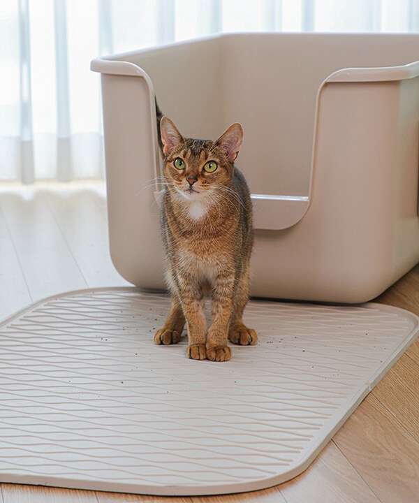 猫 トイレ マット | おねこさま・おいぬさま(ONEKOSAMA OINUSAMA
