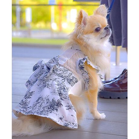 [^:ONS-0093]fB[XƂ̃NR[fI2^CvIׂI@ƂȉybgThXu󒲃ybg COOL DOGṽt@t\ȃThX(Pi)łBt@g킸AhXł̂o킢EFÂ݁At@͕tĂ܂BXSTCY̓t@ɑΉĂ܂By󒲃ybgV[YiԍzONS-0032ONS-0041t@~Ƃ͂̃t@tEFAZbgwBfUCƊ̂ۋ݂ƁAtꍘ̃{MU[ōLXJ[gȂǉfBe[ςyghWCzẴtX{pB̃eLX^Ciő@ׂȂƂȉs[XłByhr[VtHẑȃhr[VtHt`tF~jȂy߂܂BdlO̓}WbNe[vŒEy炭BVvŉfUĆAʂ܌炸˂܂ɂ߂łI}}ƂINR[ffB[XACe͂火ghWCXJ[gFES-22039hr[VtHuEXFET-23005***********************************ONEKOSAMAi˂܁ju˂܁vuʂ܁v؂ȉƑ̈Bꏏɕ点閈厖Ɉꏏɕ点KɊӁB̎vɁAԂp̂iƕς炸JŗD̂Â˂܁Aʂ܂Ƃl܂̂߂ɁBuONEKOSAMAv̕Sweet Mommy(ЃXEB[g}~[)͒N}^jeBAxr[ACe𒆐Sɓ{ƑɊYuhɂȂ邱ƂڎwĂ܂B悩琻A̔܂łs[J[ƂĂ̂ql̒aɊւ邱ƂłAK̂𒸂܂B܂ł̉ƑƕςȂvň䂪qu˂܁vuʂ܁v̂߂̂̂ÂX^[g܂B