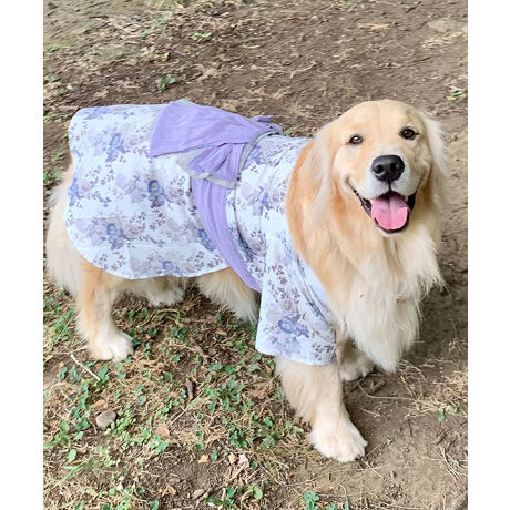 [^:ONS-0102-BIG]XEB[g}~[IWiÑybgpߐEIɗLȉppBuhuDESIGNERS GUILD fUCi[YMhvXEB[g}~[̘auށvEybguhuONEKOSAMAEOINUSAMAvƃR{Idl_ɑɃ̂鎅gđ@ׂɐD邱ƂŁAƓȕ\ʂ̃jAX𐶂ݏoʉĝɒtAybgƉKȒSnɁBڂɂłBтlC̕ѕ̖DtтŁAɂ͂ȂÑybgp߁BO݂͎΂߂ɂƂ߂dlŁA{i߂𒉎ɍČBE݌Ae[vŒEȒPElC̕ѕ̖DtтŒ̐SzȂEpbƂтƁAȂ₩ȑт2d\ō؂Ȏdオ聡fUCŏ㎿Ȑnɓ{̓`Iȃt[AWgɃCXpCAꂽpfUCi[`낵vgBO[mAWTC in GreennN[Ɣ̃AWTCƂĂۓIBO[̔ZWŕ\錻IȃAWTC͑̂ނقǔamR{̃V{ƂARNV\쁞u[mԂ̑nN₩Ȏ菑̉ԂCȂɃAWcɗԂ̑ꂪt`Vr[̔ZWoʂȈisNmOƗtntXR̂悤ɕ\NR[fƑ݂Ȃł߂ŃLbYFDG-23015fB[XFDG-230163LTCYȉONS-0102mFB***********************************ONEKOSAMAi˂܁ju˂܁vuʂ܁v؂ȉƑ̈Bꏏɕ点閈厖Ɉꏏɕ点KɊӁB̎vɁAԂp̂iƕς炸JŗD̂Â˂܁Aʂ܂Ƃl܂̂߂ɁBuONEKOSAMAv̕Sweet Mommy(ЃXEB[g}~[)͒N}^jeBAxr[ACe𒆐Sɓ{ƑɊYuhɂȂ邱ƂڎwĂ܂B悩琻A̔܂łs[J[ƂĂ̂ql̒aɊւ邱ƂłAK̂𒸂܂B܂ł̉ƑƕςȂvň䂪qu˂܁vuʂ܁v̂߂̂̂ÂX^[g܂B