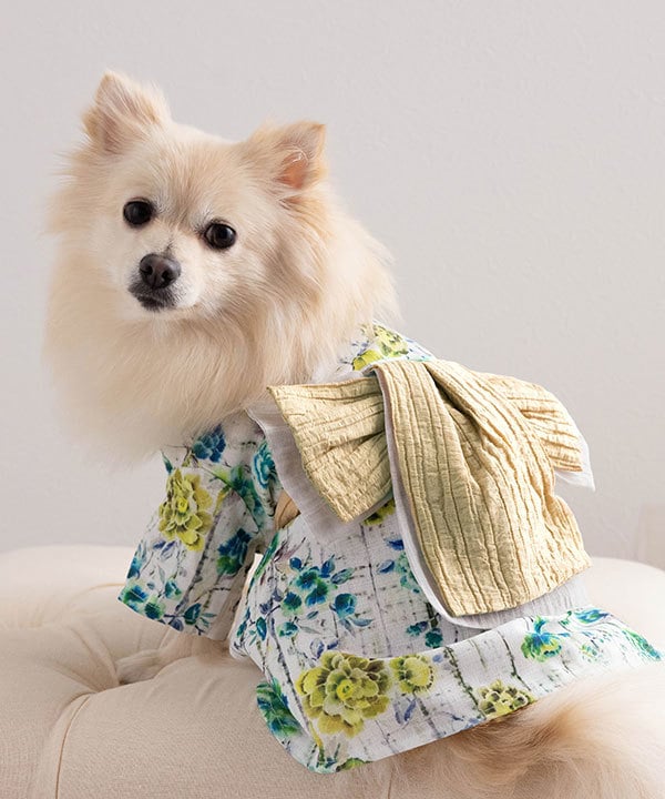 [}C]yCAT&DOGz  ̎q ybgEFA (4L-9L)/˂܁Eʂ܁iONEKOSAMA OINUSAMAj Gh