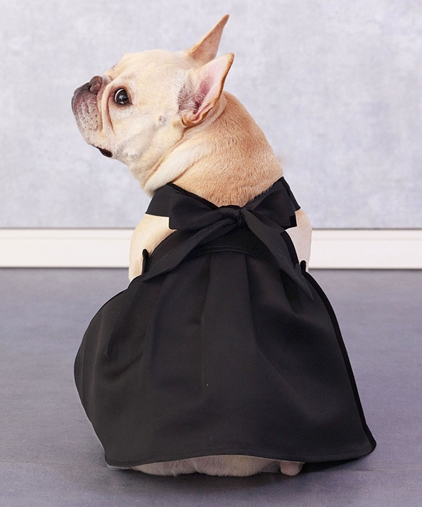 [}C]yCAT&DOGz L~ s ybgEFA i4L`9Lj/˂܁Eʂ܁iONEKOSAMA OINUSAMAj ubN