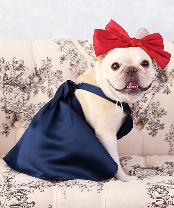 [}C]yCAT&DOGz L~ s ybgEFA i4L`9Lj/˂܁Eʂ܁iONEKOSAMA OINUSAMAj lCr[