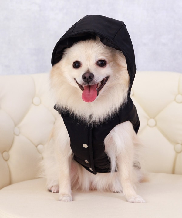 [}C]yCAT&DOGz t@Co[ _ExXg ybgEFA/˂܁Eʂ܁iONEKOSAMA OINUSAMAj ubN