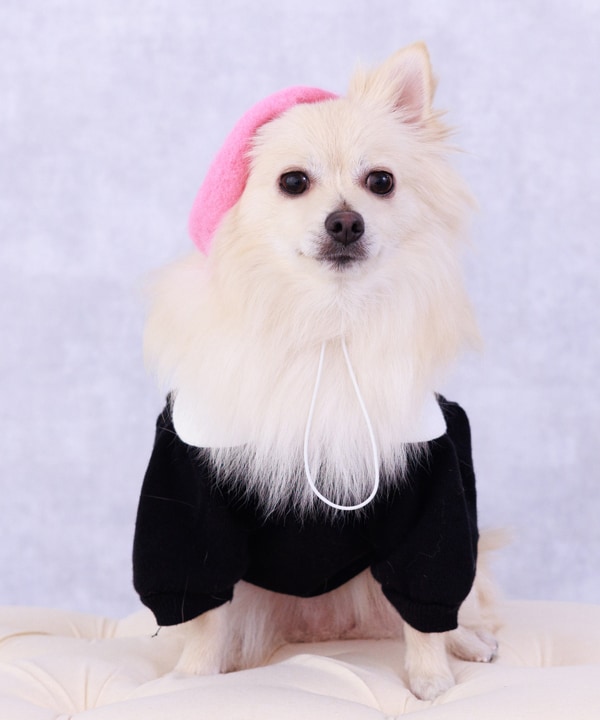 [}C]yCAT&DOGz ۋ jbg ybgEFA/˂܁Eʂ܁iONEKOSAMA OINUSAMAj ubN×zCg