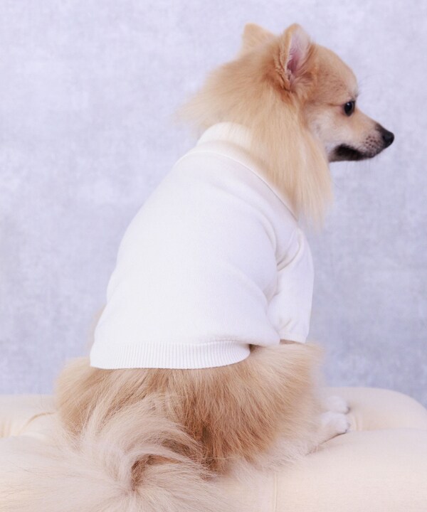 [}C]yCAT&DOGz ۋ jbg ybgEFA/˂܁Eʂ܁iONEKOSAMA OINUSAMAj zCg×zCg