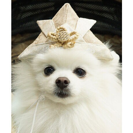 [^:ONS-0087][߂̐ߋ₨A܎OȂǂ̋LOBeɉ؂Yybg܂莆Vō銕 WK[hnō܂I _炩ŷłԂSn ybgтƍ킹ăR[f ɃJbR悭AɌ܂܂B LOʐ^ɂ҂̃ACeIn̊̂WK[hfޏiōn̓ɂ҂藠n̓Rbg100fވSmz}˂܁Aʂ܂̂߂ɐԂƕςȂidl؂ȃ{^R炢Ńybg̃~jTCYł{iIȎdオɓĂɂ{Ђt߉\Ȃ̂ŁAǂȌɂ҂łI[߂̐ߋ͂A₨őLOBeɂI***********************************ONEKOSAMAi˂܁ju˂܁vuʂ܁v؂ȉƑ̈Bꏏɕ点閈厖Ɉꏏɕ点KɊӁB̎vɁAԂp̂iƕς炸JŗD̂Â˂܁Aʂ܂Ƃl܂̂߂ɁBuONEKOSAMAv̕Sweet Mommy(ЃXEB[g}~[)͒N}^jeBAxr[ACe𒆐Sɓ{ƑɊYuhɂȂ邱ƂڎwĂ܂B悩琻A̔܂łs[J[ƂĂ̂ql̒aɊւ邱ƂłAK̂𒸂܂B܂ł̉ƑƕςȂvň䂪qu˂܁vuʂ܁v̂߂̂̂ÂX^[g܂B