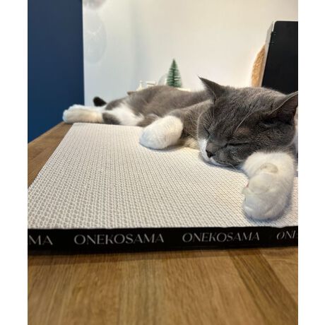 [^:ONS-0104-S]ӂAvŃS~oɂI肻łȂA^ȃCeAf܂Ƃ傫߃TCÝFONS-0104-MPOINTINZɂȂAoo~܂ȂI@▭ȊoŁA˂܂u_ɂv܂ƂǂɂĂŃCeAɂfJXoɂI@˂܂̒܂Ȃx_{[LQNA@SGSŏؖꂽSȑfށ@_{[fނɂƂƂ񂱂ALQɃNA@{AŐmFĂ܂BTCh͂ȃS@iႭ(2cm)AqLVLɂDfUC낮̂ɂ҂@CAQ]ׂTCYʃe[vtYɂA芴QǁAɂݒu\ȗʃe[vt[ʃe[v̎g]Eʂ4pɗʃe[v\ĂAԂtBBEǁAɌŒ肵ĂBǂ⏰ɓ\tۂ́AhǎEނꍇ܂̂łӂB@܂ʖʂł͔S͂܂̂ŁAɂӂBǂɓ\wLтĎgAX^fBO^CvɂIւ̖ڈ_{[܂Ƃ͎̂Ă₷Aւ₷̂|CgI˂܂̒܂ЂȂȂĒ܂ɂɂĂAVɑւĂ܂傤Bwŉď_炩ȂĂ鎞A_{[炵hȂ݂Ȃ݁h̖͗lȂȂA܂Ă鎞ւ̃TCłBql̂gn߂Ă2o߂܂AłS~͂قڂقڏoĂ炸Ă܂Im@nŉꂽꍇ́Ałi^IŐ@ĂBmgp̒ӁnEprȊOɂ͎gpȂłBEL̋߂⍂ȏꏊŎgpȂłBEq܂̎̓͂ɒuȂłBEǕǂ⏰ɓ\tۂ́AhǎEނꍇ܂̂łӂB@܂ʖʂł͔S͂܂̂ŁAɂӂBE˂܂Ɉُ킪ꂽۂ͖{i̎gp𒆎~AbtɑkĂB***********************************ONEKOSAMAi˂܁j