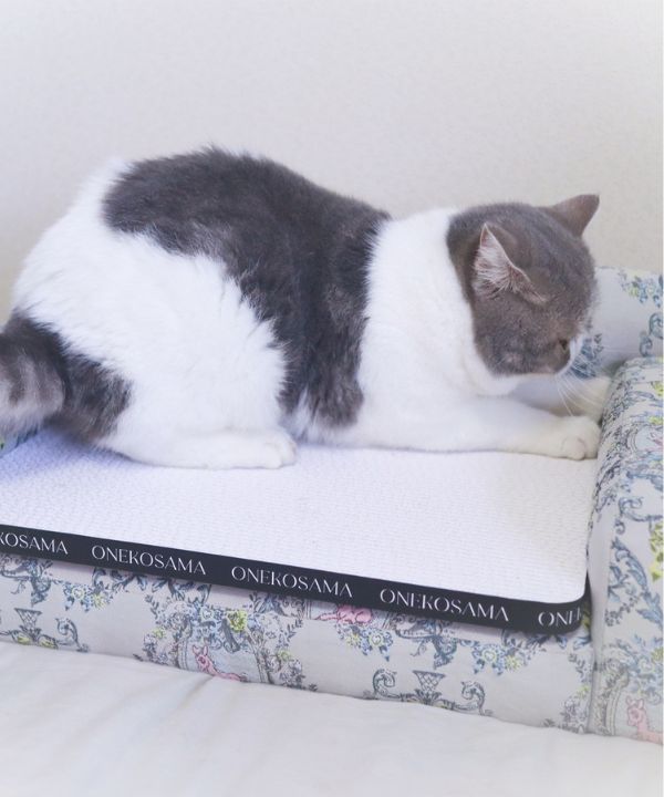 [}C]IWi܂ƂmSTCYn/˂܁Eʂ܁iONEKOSAMA OINUSAMAj zCg