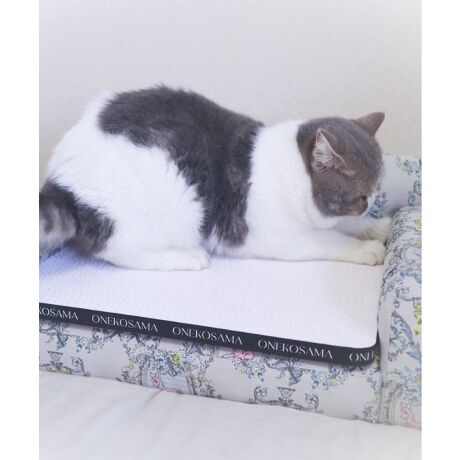 [^:ONS-0104-S]ӂAvŃS~oɂI肻łȂA^ȃCeAf܂Ƃ傫߃TCÝFONS-0104-MPOINTINZɂȂAoo~܂ȂI@▭ȊoŁA˂܂u_ɂv܂ƂǂɂĂŃCeAɂfJXoɂI@˂܂̒܂Ȃx_{[LQNA@SGSŏؖꂽSȑfށ@_{[fނɂƂƂ񂱂ALQɃNA@{AŐmFĂ܂BTCh͂ȃS@iႭ(2cm)AqLVLɂDfUC낮̂ɂ҂@CAQ]ׂTCYʃe[vtYɂA芴QǁAɂݒu\ȗʃe[vt[ʃe[v̎g]Eʂ4pɗʃe[v\ĂAԂtBBEǁAɌŒ肵ĂBǂ⏰ɓ\tۂ́AhǎEނꍇ܂̂łӂB@܂ʖʂł͔S͂܂̂ŁAɂӂBǂɓ\wLтĎgAX^fBO^CvɂIւ̖ڈ_{[܂Ƃ͎̂Ă₷Aւ₷̂|CgI˂܂̒܂ЂȂȂĒ܂ɂɂĂAVɑւĂ܂傤Bwŉď_炩ȂĂ鎞A_{[炵hȂ݂Ȃ݁h̖͗lȂȂA܂Ă鎞ւ̃TCłBql̂gn߂Ă2o߂܂AłS~͂قڂقڏoĂ炸Ă܂Im@nŉꂽꍇ́Ałi^IŐ@ĂBmgp̒ӁnEprȊOɂ͎gpȂłBEL̋߂⍂ȏꏊŎgpȂłBEq܂̎̓͂ɒuȂłBEǕǂ⏰ɓ\tۂ́AhǎEނꍇ܂̂łӂB@܂ʖʂł͔S͂܂̂ŁAɂӂBE˂܂Ɉُ킪ꂽۂ͖{i̎gp𒆎~AbtɑkĂB***********************************ONEKOSAMAi˂܁j