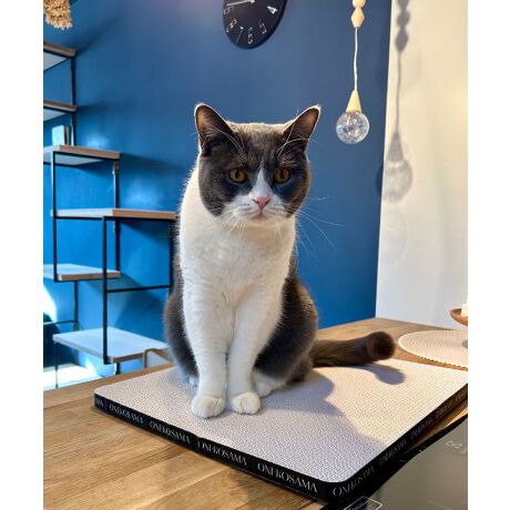 [^:ONS-0104-M]ӂAvŃS~oɂI肻łȂA^ȃCeAf܂Ƃ߃TCÝFONS-0104-SPOINTINZɂȂAoo~܂ȂI@▭ȊoŁA˂܂u_ɂv܂ƂǂɂĂŃCeAɂfJXoɂI@˂܂̒܂Ȃx_{[LQNA@SGSŏؖꂽSȑfށ@_{[fނɂƂƂ񂱂ALQɃNA@{AŐmFĂ܂BTCh͂ȃS@iႭ(2cm)AqLVLɂDfUC낮̂ɂ҂@CAQ]ׂTCYʃe[vtYɂA芴QǁAɂݒu\ȗʃe[vt[ʃe[v̎g]Eʂ4pɗʃe[v\ĂAԂtBBEǁAɌŒ肵ĂBǂ⏰ɓ\tۂ́AhǎEނꍇ܂̂łӂB@܂ʖʂł͔S͂܂̂ŁAɂӂBǂɓ\wLтĎgAX^fBO^CvɂIւ̖ڈ_{[܂Ƃ͎̂Ă₷Aւ₷̂|CgI˂܂̒܂ЂȂȂĒ܂ɂɂĂAVɑւĂ܂傤Bwŉď_炩ȂĂ鎞A_{[炵hȂ݂Ȃ݁h̖͗lȂȂA܂Ă鎞ւ̃TCłBql̂gn߂Ă2o߂܂AłS~͂قڂقڏoĂ炸Ă܂Im@nŉꂽꍇ́Ałi^IŐ@ĂBmgp̒ӁnEprȊOɂ͎gpȂłBEL̋߂⍂ȏꏊŎgpȂłBEq܂̎̓͂ɒuȂłBEǕǂ⏰ɓ\tۂ́AhǎEނꍇ܂̂łӂB@܂ʖʂł͔S͂܂̂ŁAɂӂBE˂܂Ɉُ킪ꂽۂ͖{i̎gp𒆎~AbtɑkĂB***********************************ONEKOSAMAi˂܁j