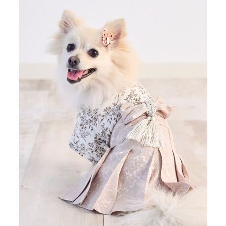 [^:ONS-0139-BIG]iŉghWC_uK[[fނƁA򊴂AQ̃WK[hfނƂĂ؂₩ȃybgfUC₷ɍl̃p^[ӂ痧̓IȑтANZgIh^bZ؂ȑя肪Apɉ؂€YĂ܂Bʂ̎ʐ^f[X̏dˑэו܂łA~jTCYła𒉎ɍČ@ׂŏ_炩Ȏqtt[Xɉ؂₩Y܂OJfUCŒ₷т݂ɂ_炩ȃ}WbNe[v[D߁Aq_̎Ȃv[cdグnӂDRbg100̃_uK[[ʋCEzɗDA_炩ăɂAG߂킸Kłт͍̂WK[hfޗ̓IȐD蕿Ảł肰Ȃ\ςCi鐶nł⏉wAN̎BeLOɎ܎O␬lȂǂ̂Ƒ̂jɂ҂łBVvŉfUĆAʂ܌炸˂܂ɂTCYXS-2LFONS-01396L-9LFONS-0139-MBIGxr[}}Ƃ̃NR[f߂łIfB[XFSO-25019xr[FSB-24045ASB-25018ْfʒuɂĕ̏oقȂ܂B@\߂B***********************************ONEKOSAMAi˂܁j