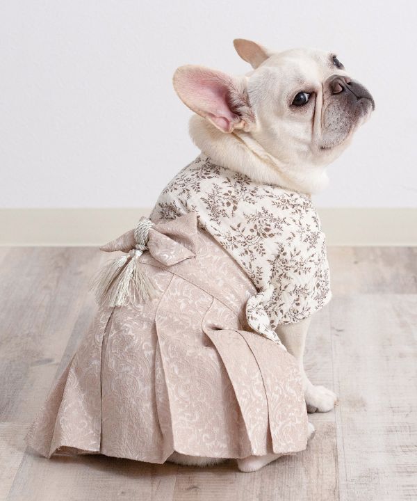 [}C]ghWC ybg [7L-9LTCY]/˂܁Eʂ܁iONEKOSAMA OINUSAMAj J