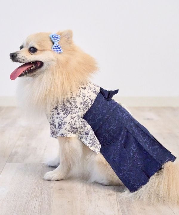 [}C]ghWC ybg [7L-9LTCY]/˂܁Eʂ܁iONEKOSAMA OINUSAMAj lCr[