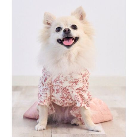 [^:ONS-0139-MBIG]iŉghWC_uK[[fނƁA򊴂AQ̃WK[hfނƂĂ؂₩ȃybgfUC₷ɍl̃p^[ӂ痧̓IȑтANZgIh^bZ؂ȑя肪Apɉ؂€YĂ܂Bʂ̎ʐ^f[X̏dˑэו܂łA~jTCYła𒉎ɍČ@ׂŏ_炩Ȏqtt[Xɉ؂₩Y܂OJfUCŒ₷т݂ɂ_炩ȃ}WbNe[v[D߁Aq_̎Ȃv[cdグnӂDRbg100̃_uK[[ʋCEzɗDA_炩ăɂAG߂킸Kłт͍̂WK[hfޗ̓IȐD蕿Ảł肰Ȃ\ςCi鐶nł⏉wAN̎BeLOɎ܎O␬lȂǂ̂Ƒ̂jɂ҂łBVvŉfUĆAʂ܌炸˂܂ɂ߃TCYXS-2LFONS-01393L-6LFONS-0139-BIGxr[}}Ƃ̃NR[f߂łIfB[XFSO-25019xr[FSB-24045ASB-25018ْfʒuɂĕ̏oقȂ܂B@\߂B***********************************ONEKOSAMAi˂܁j