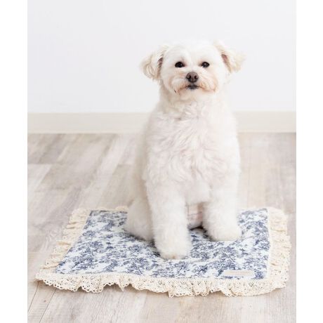 [^:SG-25012-S]Ђ-7.5̔n{ACXWFttN[}bgIVŃCeAɂȂނ킢ZbgeE}bgSTCYm33~40nEACXWF@~4MTCÝFSG-25012-MȂY݂ɁcEMǂSzE[ƕׂȂSzEfUCɂ肽EⓀd̂͋聡fޑfɗD炳^b`_uK[[Rbg100_炩`N`NȂRbg100[XACXWF퉷łЂ-7.512ԎI߂ăRpNg①ɂŗ₷ƂɂЂ`JAXA̗pI@{zMMACXWF퉷łЂ₽A_炩̂ōSnIŔGꂸAJԂĝŕ֗IiijACXWpjlXȃV[ő劈ACXWFłȂłȀʂŁEłEJtF}bgƂāEybgJ[g̒ɕ~āiEll̂Ђ薍ɂcjN[nEXɂsb^FONS-0137****************Sweet Mommy(XEB[g}~[) ONEKOSAMAi˂܁j