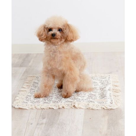 [^:SG-25012-S]Ђ-7.5̔n{ACXWFttN[}bgIVŃCeAɂȂނ킢ZbgeE}bgSTCYm33~40nEACXWF@~4MTCÝFSG-25012-MȂY݂ɁcEMǂSzE[ƕׂȂSzEfUCɂ肽EⓀd̂͋聡fޑfɗD炳^b`_uK[[Rbg100_炩`N`NȂRbg100[XACXWF퉷łЂ-7.512ԎI߂ăRpNg①ɂŗ₷ƂɂЂ`JAXA̗pI@{zMMACXWF퉷łЂ₽A_炩̂ōSnIŔGꂸAJԂĝŕ֗IiijACXWpjlXȃV[ő劈ACXWFłȂłȀʂŁEłEJtF}bgƂāEybgJ[g̒ɕ~āiEll̂Ђ薍ɂcjN[nEXɂsb^FONS-0137****************Sweet Mommy(XEB[g}~[) ONEKOSAMAi˂܁j