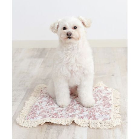 [^:SG-25012-M]Ђ-7.5̔n{ACXWFttN[}bgIVŃCeAɂȂނ킢ZbgeE}bSTCYm40~49.5nEACXWF@~6STCÝFSG-25012-SȂY݂ɁcEMǂSzE[ƕׂȂSzEfUCɂ肽EⓀd̂͋聡fޑfɗD炳^b`_uK[[Rbg100_炩`N`NȂRbg100[XACXWF퉷łЂ-7.512ԎI߂ăRpNg①ɂŗ₷ƂɂЂ`JAXA̗pI@{zMMACXWF퉷łЂ₽A_炩̂ōSnIŔGꂸAJԂĝŕ֗IiijACXWpjlXȃV[ő劈ACXWFłȂłȀʂŁEłEJtF}bgƂāEybgJ[g̒ɕ~āiEll̂Ђ薍ɂcjN[nEXɂsb^FONS-0137****************Sweet Mommy(XEB[g}~[) ONEKOSAMAi˂܁j