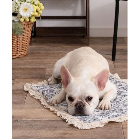 [^:SG-25012-M]Ђ-7.5̔n{ACXWFttN[}bgIVŃCeAɂȂނ킢ZbgeE}bSTCYm40~49.5nEACXWF@~6STCÝFSG-25012-SȂY݂ɁcEMǂSzE[ƕׂȂSzEfUCɂ肽EⓀd̂͋聡fޑfɗD炳^b`_uK[[Rbg100_炩`N`NȂRbg100[XACXWF퉷łЂ-7.512ԎI߂ăRpNg①ɂŗ₷ƂɂЂ`JAXA̗pI@{zMMACXWF퉷łЂ₽A_炩̂ōSnIŔGꂸAJԂĝŕ֗IiijACXWpjlXȃV[ő劈ACXWFłȂłȀʂŁEłEJtF}bgƂāEybgJ[g̒ɕ~āiEll̂Ђ薍ɂcjN[nEXɂsb^FONS-0137****************Sweet Mommy(XEB[g}~[) ONEKOSAMAi˂܁j