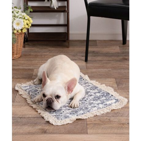 [^:SG-25012-M]Ђ-7.5̔n{ACXWFttN[}bgIVŃCeAɂȂނ킢ZbgeE}bSTCYm40~49.5nEACXWF@~6STCÝFSG-25012-SȂY݂ɁcEMǂSzE[ƕׂȂSzEfUCɂ肽EⓀd̂͋聡fޑfɗD炳^b`_uK[[Rbg100_炩`N`NȂRbg100[XACXWF퉷łЂ-7.512ԎI߂ăRpNg①ɂŗ₷ƂɂЂ`JAXA̗pI@{zMMACXWF퉷łЂ₽A_炩̂ōSnIŔGꂸAJԂĝŕ֗IiijACXWpjlXȃV[ő劈ACXWFłȂłȀʂŁEłEJtF}bgƂāEybgJ[g̒ɕ~āiEll̂Ђ薍ɂcjN[nEXɂsb^FONS-0137****************Sweet Mommy(XEB[g}~[) ONEKOSAMAi˂܁j