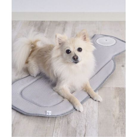 [^:ONS-0121]~g[@󒲃N[}bgۗ܂ŗłKIyNEWz2025Vo[WÉʂ͂̂܂܁IV݌vt@ňSUPVvŎg₷Iт݂ɂSImZbgenE}bg{́E~Eۗ4E舵J[g̒ŔMɂ̓t@ŗIĂ͓{̑^ۗ4_+pt_ut@ŋC̗ǂ₽ɕ܂ȁỈ߂ȃybgɂƂāAĂ̏΍ɁI}bg̕\ʂЂƂoāAԂ̂UɂKIyuGARz󒲃N[V[g̓_ut@荞񂾋ĆȂ^ۗWFŗ₳āAV[g̕\ʂoBM̂肪ȃJ[g̒ŁAȃybgAĉKɂ߂܂BUSBڑŃybgJ[gɓꂽA̋Cɓ̏ꏊɕ~ăN[_EPOINT3iKʒ [//]@{^ЂƂŊȒPIptȃ_ut@@󒲃V[g̋Cz@V[gɏɐVĈŁAɂKɉ߂܂{ ^ۗ4t@4_ׂă|PbgɓA₳ꂽC܂BvȝbV@ʋCɗDv3DbVfށ@m5w\n1.\nbV2.hn(ʋCE)3.WbV4.hn5.n@hfނɃGAz[(ʋCE)Aoʒu𒲐@hfނ̊ԂɌ݂̂WbVgpAu܂Œʂ悤ɐ݌v܂BIWitbg\@̗WȂtbg\Ō悭@܂~邱ƂŁA܂ړŕOɕÛh܂BېOKI@Jق̉AݕHׂڂې􂢂ł̂ŏɐI@t@OlbggpB߂ăRpNgoCobe[|Pbg@ʃ|PbgɃoCobe[╗ʒ߃{^AR[h܂Ƃ߂ē܂B@}WbNe[vŊJ藯߂̂ŁAh~oCobe[͕tĂ܂BgpybgJ[g / hCu / Q[WL[ / ̒[tTCY]Eۗ܁@115~c190mm@dʁF300gŠxƒ(gpOɕKǂ݂)E{̗prȊOɎgpȂłBE΋C̋߂␅̂ꏊł͎gpȂłBi΍ЁȀAj ̌ɂȂ܂jE˓ꏊ⍂AÂꏊAV̎ԓA΋C̋ ȂǂɕۊǁAu͂ȂłBi΍ЁȀAǰɂȂ܂jEVi[EhȂǗL@n܂KXgpĂ߂ł͎gpȂłB i΍ЁȀAǰɂȂ܂jEt@Rg[[ȂǓdCi𐅂Ȃǉt̂łʂ炳ȂłBȉ┭ MA΂̌ɂȂ܂jE΂ɕ͂ȂłBi΍Ђ⊴dȀ̌ɂȂ܂jȄjԂŎgpȂłBi΍ЁAd₯Aǰ Ȃ܂jEُLAMAىȂُ̈ɋCt͂ɂgp𒆎~AoC obe[OĂBi΍ЁȀAǰɂȂ܂jEfoCX̃CXg[̍ۂ₨̍ۂ́AKd؂胂oCobe[ OĂBid₯̌ɂȂ܂jEʂꂽŃP[u̔͂ȂłBid₯̌ɂȂ܂jEԂ̕ۊǂ̍ۂ́AoCobe[ɑ}ςȂɂȂłBȉ ┭MA΂̌ɂȂ܂jgp̒ӁEt@EoCobe[́AŒ肵肳ĂBEȗ͂AƂȂǂ̏Ռ^ȂłBEt@̓ɈٕȂłBEP[uAybgɊ݂ȂłBEt@̕𒷎ԘAăybg̑̂ɓĂȂłBiNQ鋰ꂪ ܂jE̍ۂ́A}bgt@EoCobe[ȂǓdCiKOĂBEpۂ́AZ܂̒n掩̂̃[ɉāAɗD@ŏ iTCNȂǁjsĂB