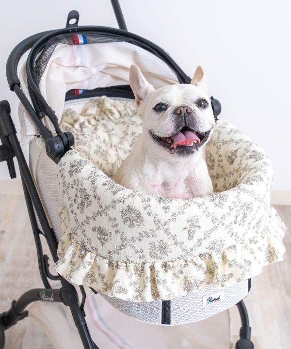 [}C]ybgJ[g NbV 3_Zbg ghWC/˂܁Eʂ܁iONEKOSAMA OINUSAMAj O[