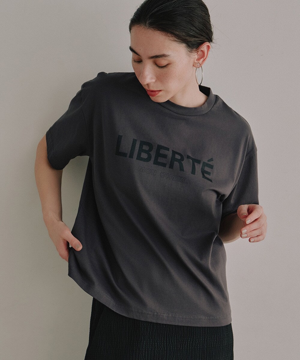 M-Lサイズ グレー系 カットソー 大きいサイズと大きい服のメンズ通販【ビッグエムワン】【AS1006