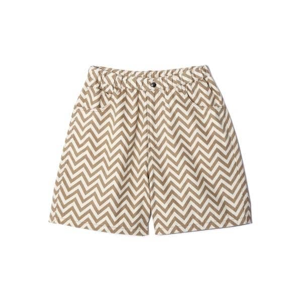 [�}���C]MANASTASH�^�}�i�X�^�b�V���^ZG CHILLIWACK SHORTS/�}�i�X�^�b�V���iManastash�j �T���h4