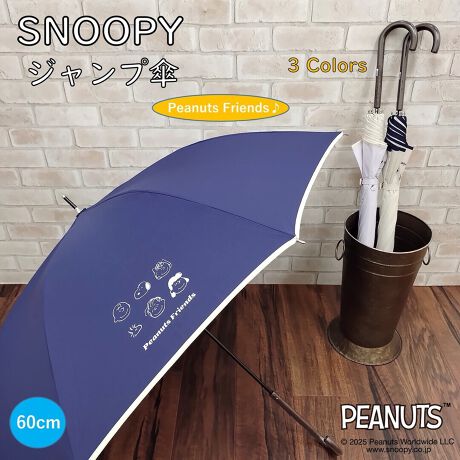 [^:001-763735]|CgfUCŃJCCIVXk[s[dl̃WvJPł