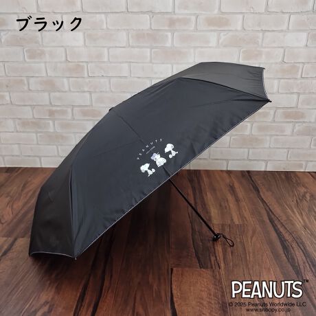 [^:001-764055]y!Xk[s[܂ݐJpPł