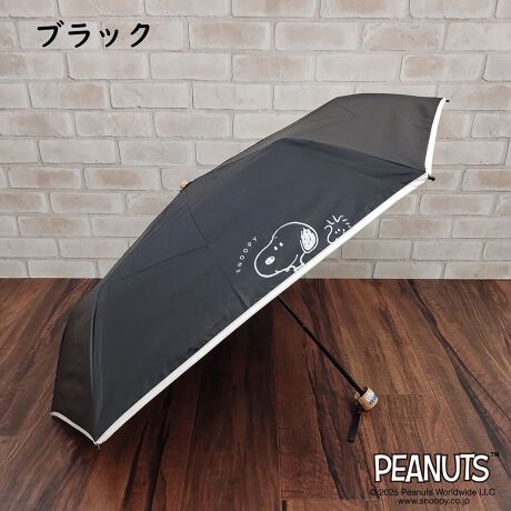 [^:011-764855]1ՌngpI@\ȃXk[s[Jp܂ݎPł