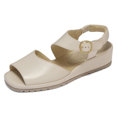 [^ԁFWP590T-200]yʂŋȐɗDꂽA₷T_B2EIu[NXg̗pB