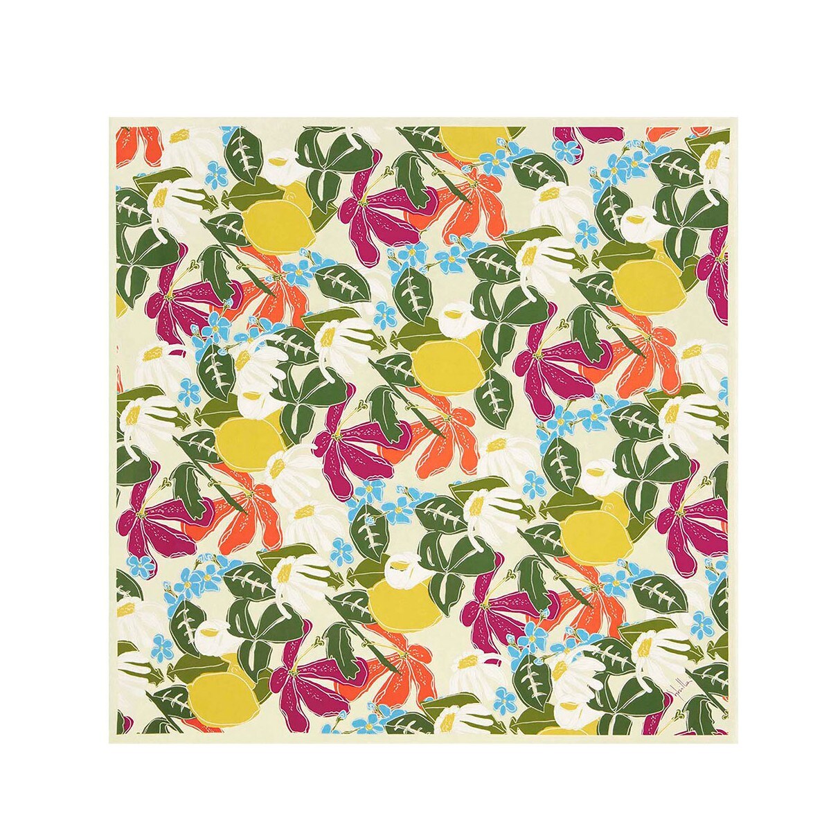 [}C]C~ 唻/\ErGiSOUBIENj x[W