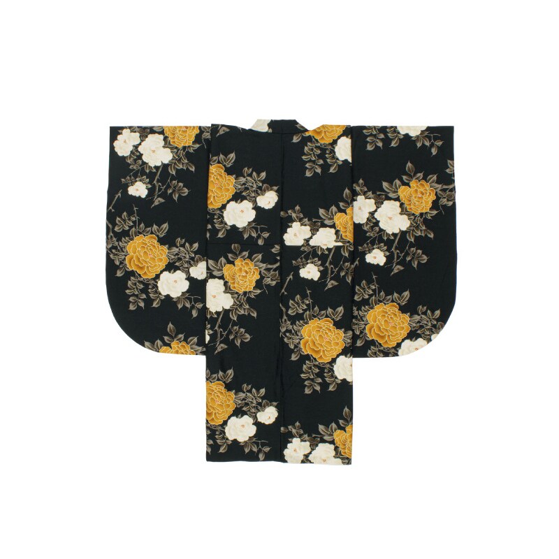 [}C]ڑ Pi/\ErGiSOUBIENj ubNɉFn